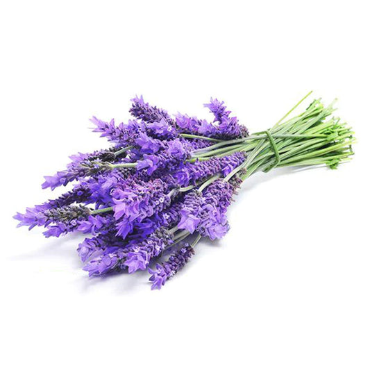 What Is The Most Popular Scent For a Diffuser? Reviewing Popular Scents For Your Home