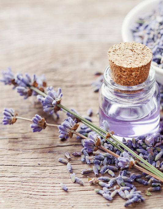 Best Essential Oils for Sleep: Strongest, Most Relaxing Blends Tested & Ranked