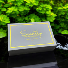 Scently Room Parfum Discovery Set | Vegan, Non-Toxic, Gentle, & Hypoallergenic