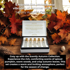 Scently Room Parfum Discovery Set | Vegan, Non-Toxic, Gentle, & Hypoallergenic