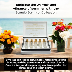 Scently Room Parfum Discovery Set | Vegan, Non-Toxic, Gentle, & Hypoallergenic